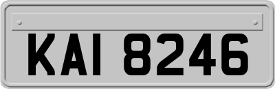 KAI8246