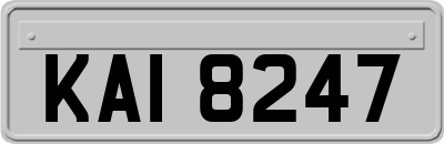 KAI8247
