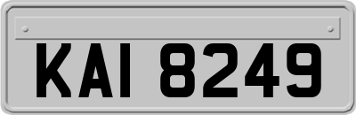 KAI8249