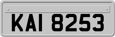 KAI8253
