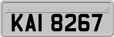 KAI8267