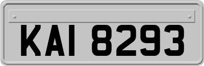 KAI8293