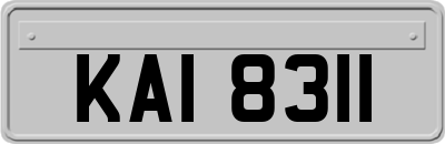 KAI8311