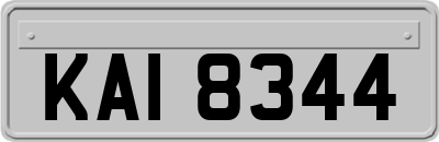 KAI8344