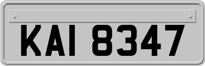 KAI8347