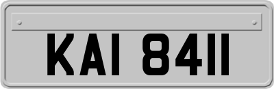 KAI8411