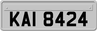 KAI8424
