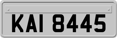 KAI8445