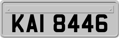 KAI8446