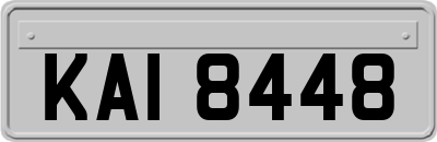 KAI8448