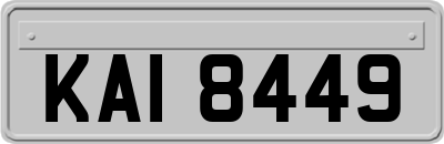 KAI8449