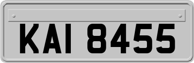 KAI8455