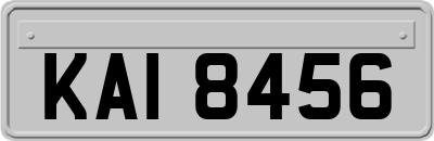KAI8456