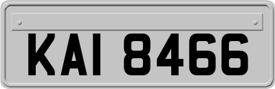 KAI8466