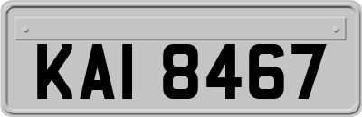 KAI8467
