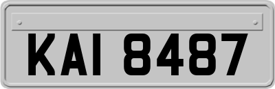 KAI8487