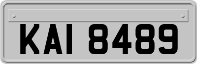 KAI8489