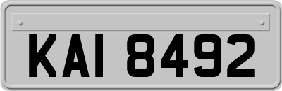 KAI8492