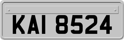 KAI8524