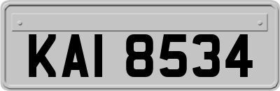 KAI8534