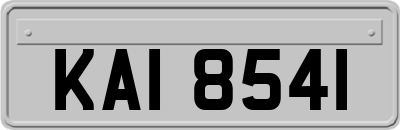 KAI8541