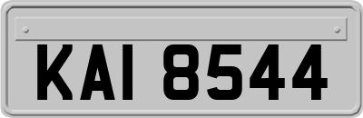 KAI8544