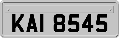 KAI8545