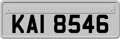 KAI8546