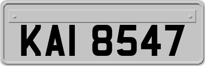 KAI8547