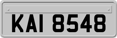 KAI8548