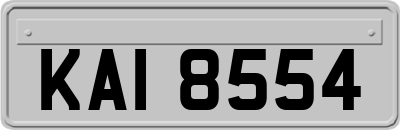 KAI8554