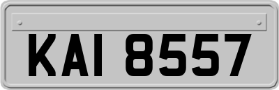 KAI8557