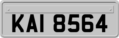 KAI8564