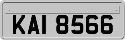 KAI8566