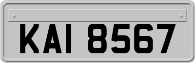 KAI8567