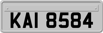 KAI8584