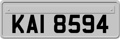 KAI8594