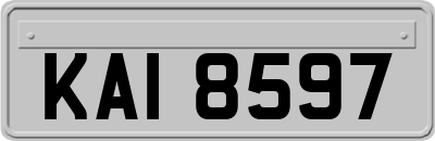 KAI8597