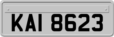 KAI8623