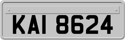 KAI8624