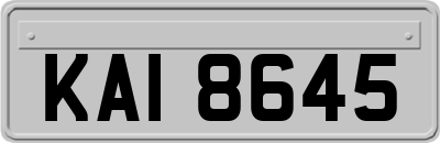 KAI8645