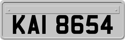 KAI8654