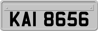 KAI8656