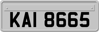 KAI8665