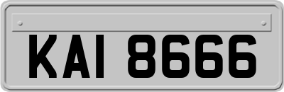 KAI8666