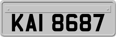 KAI8687