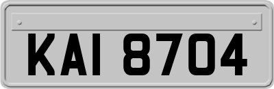 KAI8704