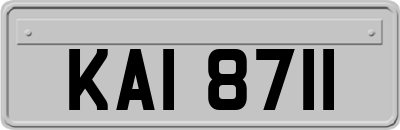 KAI8711