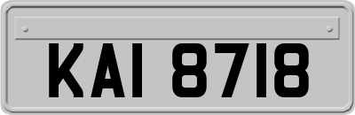 KAI8718
