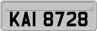 KAI8728